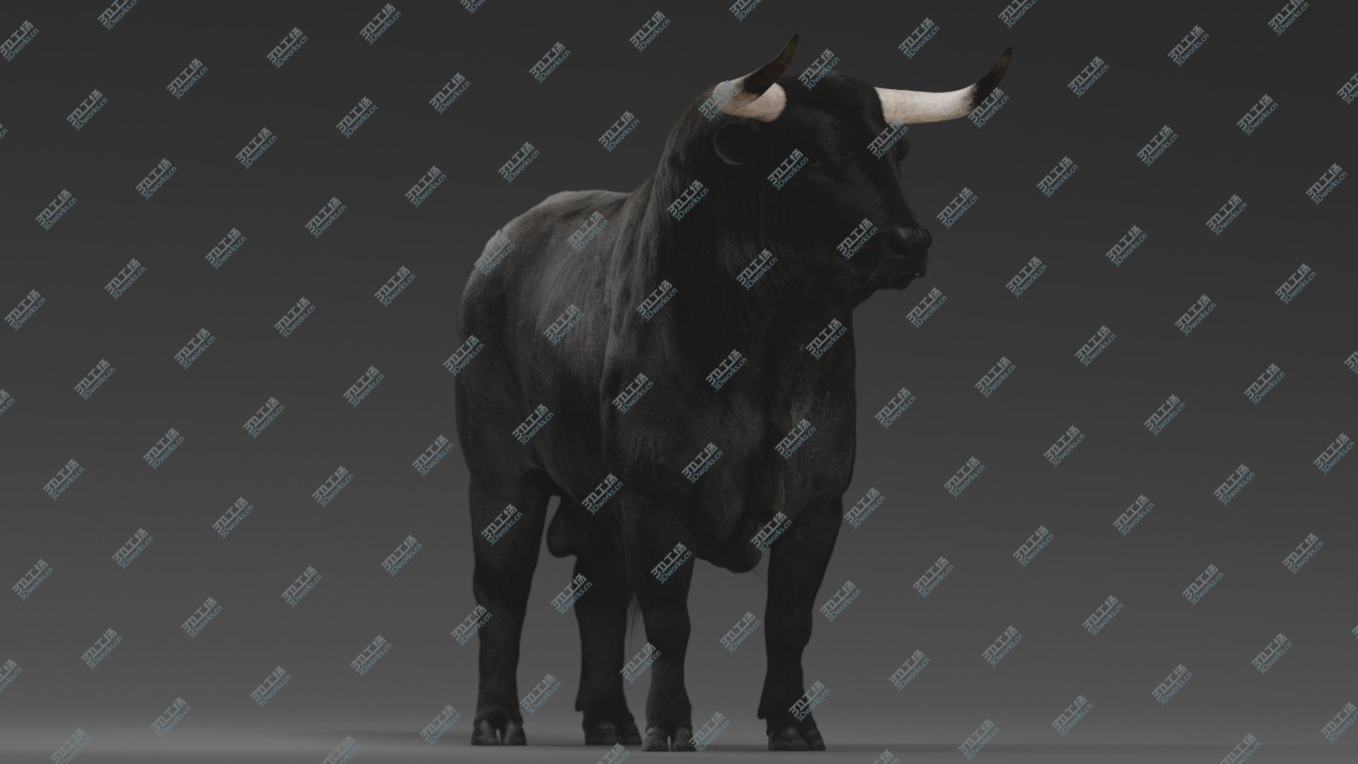 images/goods_img/202104021/3D Bull RIGGED/5.jpg